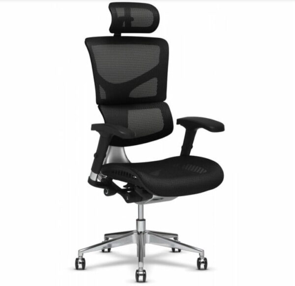 X2 K-Sport Mesh Management Office Chair